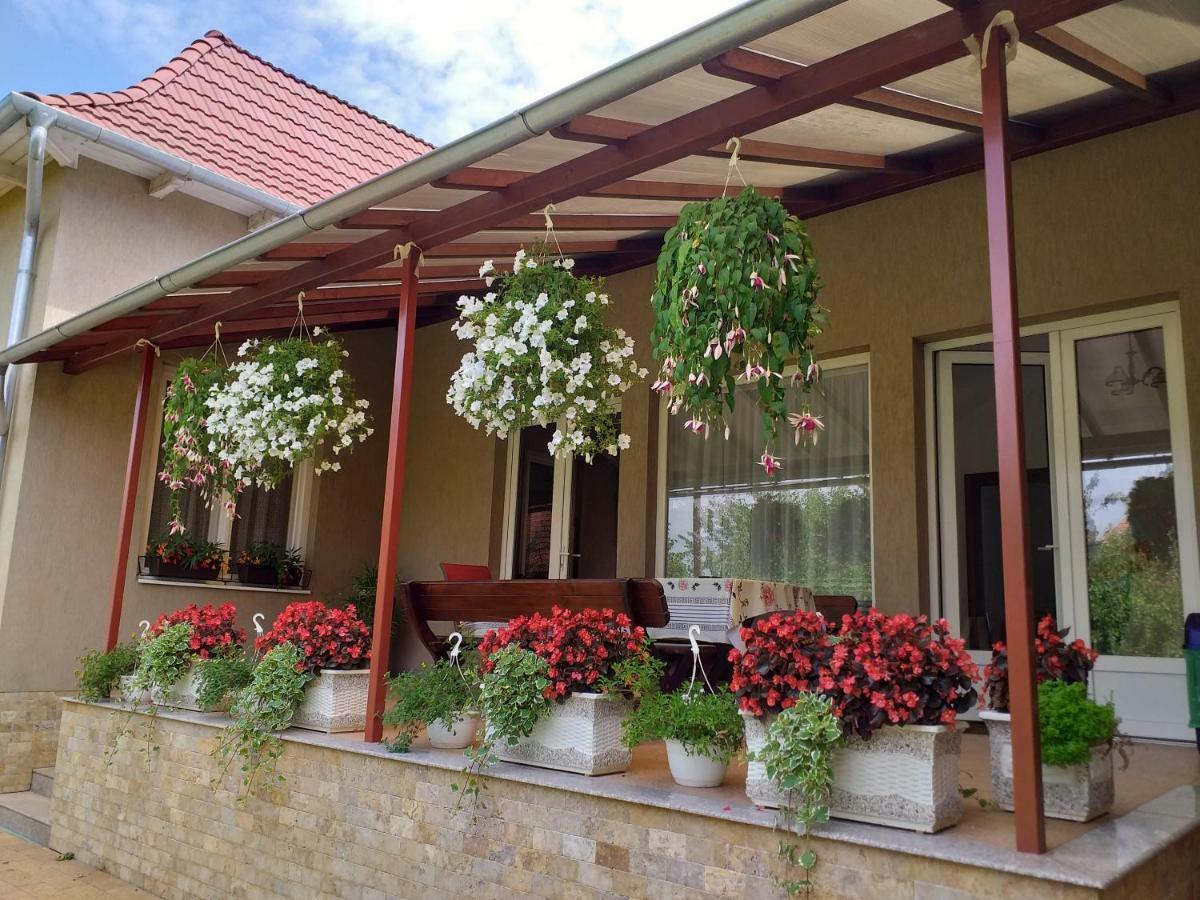 Hotel Pensiunea Abel Mihai Viteazu  Exterior foto